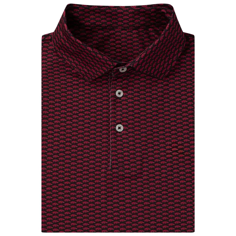 The Arkansas Wooo Pig Men's Short Sleeve Collegiate Polo, Polo 3D Unisex, Gif For Him
