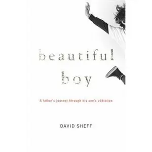 USED-Beautiful Boy: A Father's Journey Through His Son's Addiction by David Sheff (Hardcover)