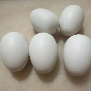 5 Huevos Falsos / 5 Fake Eggs
