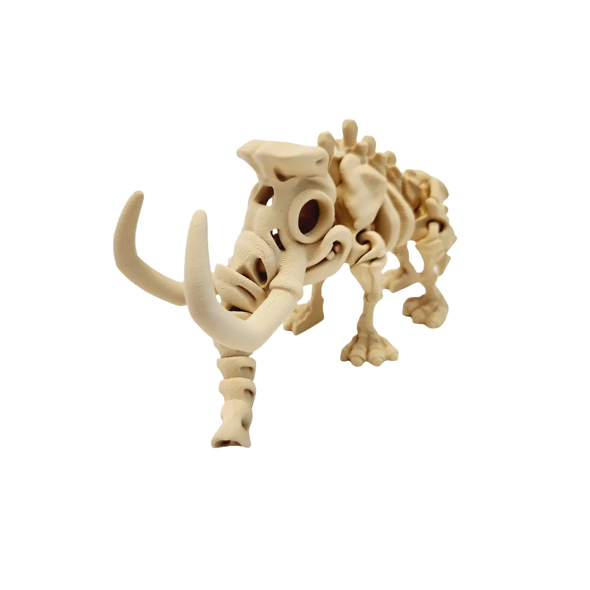 Bone Flexi Prints - High-Quality Flexible Prints