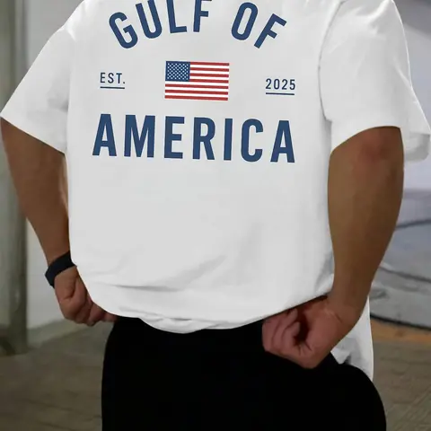 Men's Regular Fit America Flag & Letter Print Round Neck Tee, Casual Short Sleeve Crew Neck T-shirt, Casual Summer Clothing for Daily Wear, Men's Top for Summer, Tropical, Casual Style Graphic Tee