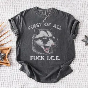 [Sale off up to 50%] Funny Anti I.C.E. Shirt, Anti Trump Shirt, No Human Is Illegal, End Ice, Fuck Trump, Feminist Shirt, Immigrant, Human Rights, Social Justice
