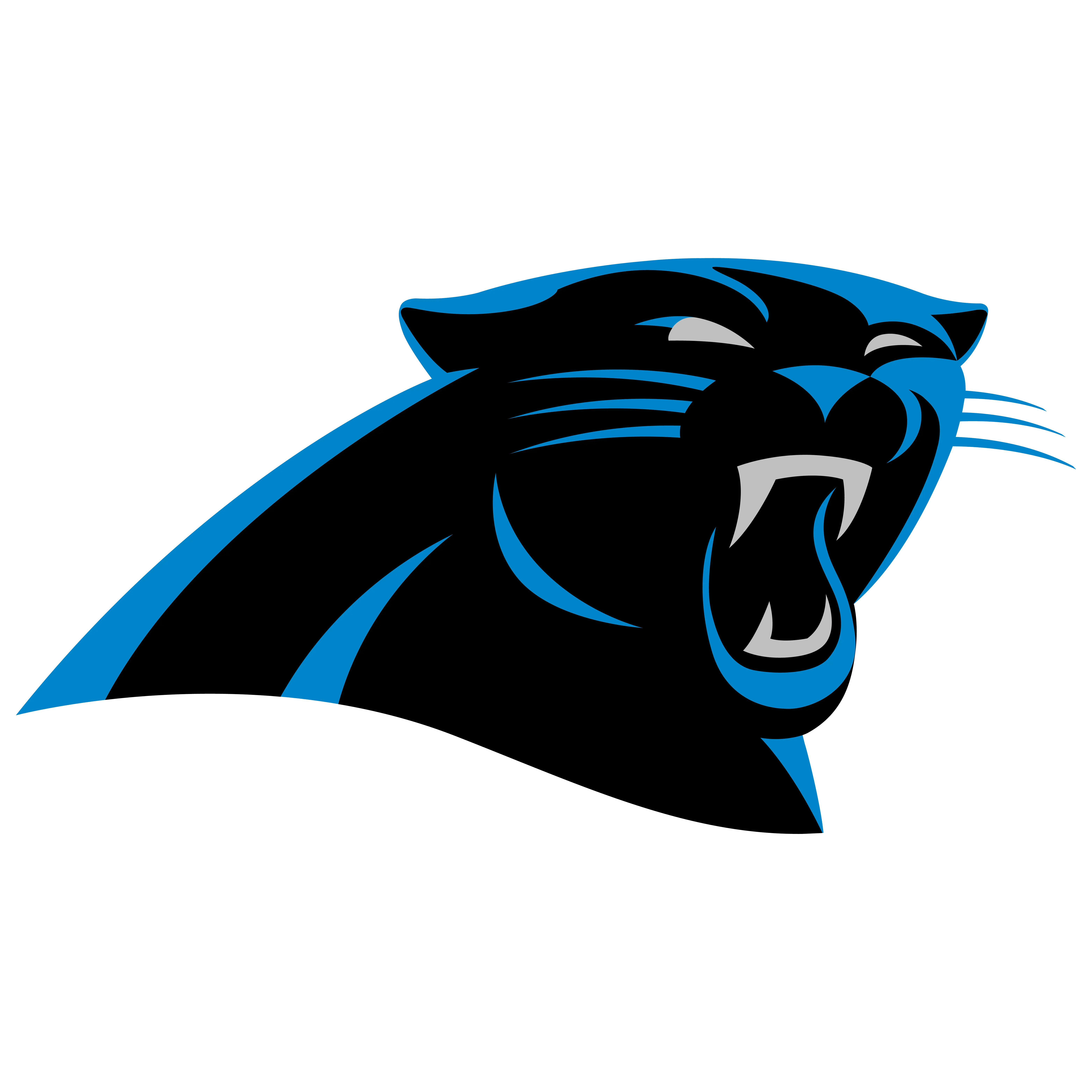 PANTHERS