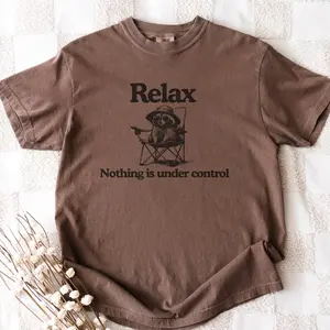 Chill Raccoon Vintage Shirt - Relax Nothing Is Under Control Trash Panda Tee, Summer Racoon Tee, Raccoon Chilling Vibes