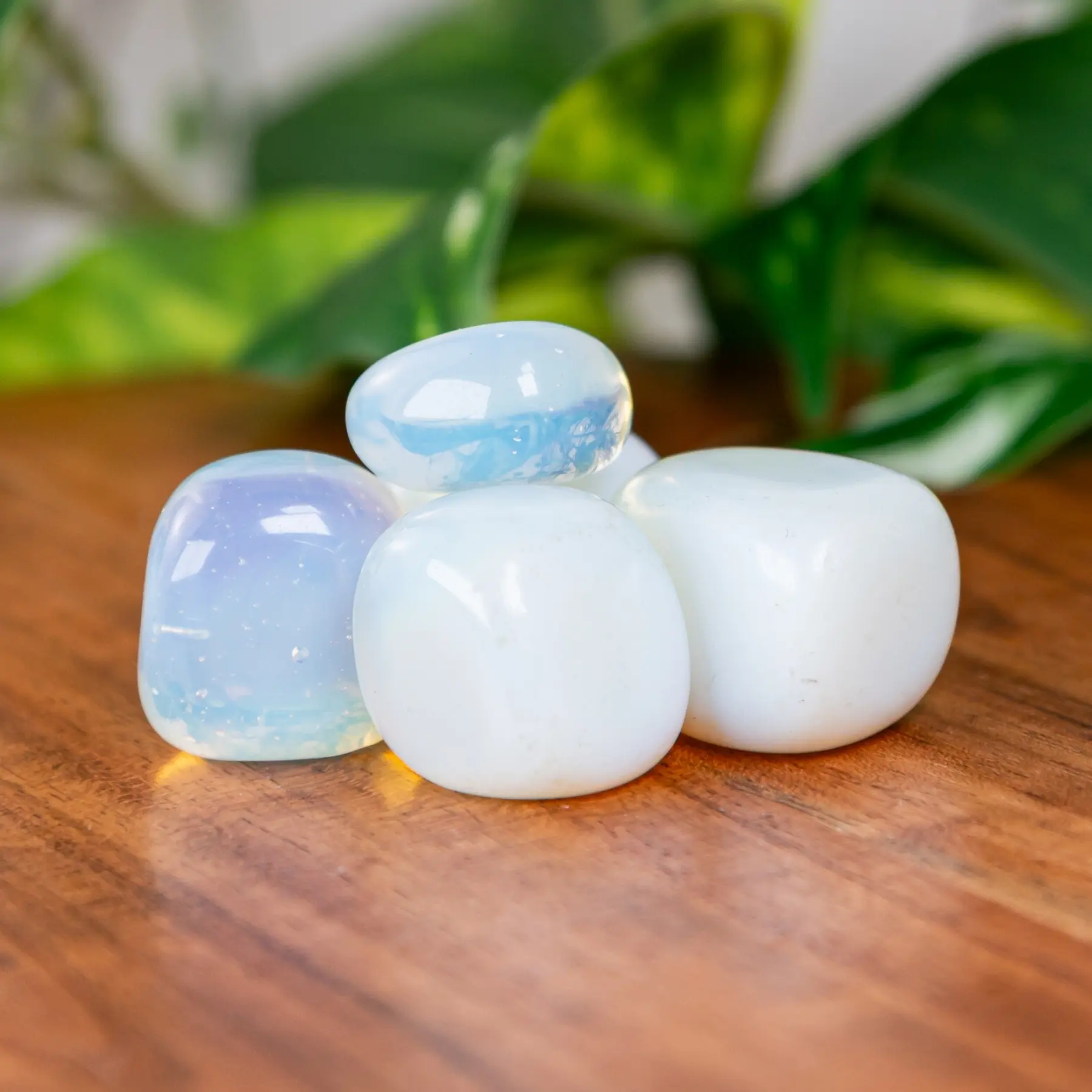 Down to Earth Opalite Tumbled 1lb