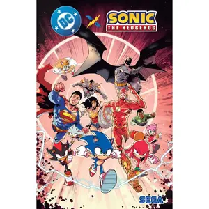 DC  Sonic the Hedgehog -- Ian Flynn - Paperback