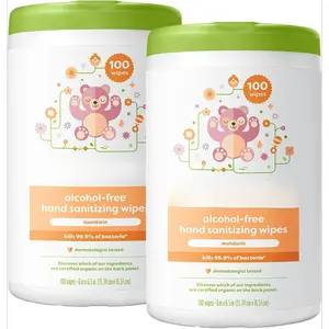 Alcohol-Free Hand Sanitizing Wipes, Mandarin, Kills 99.9% of Common Bacteria, Moisturizing, 200 Count, (100 Count, 2 Pack), Packaging May Vary