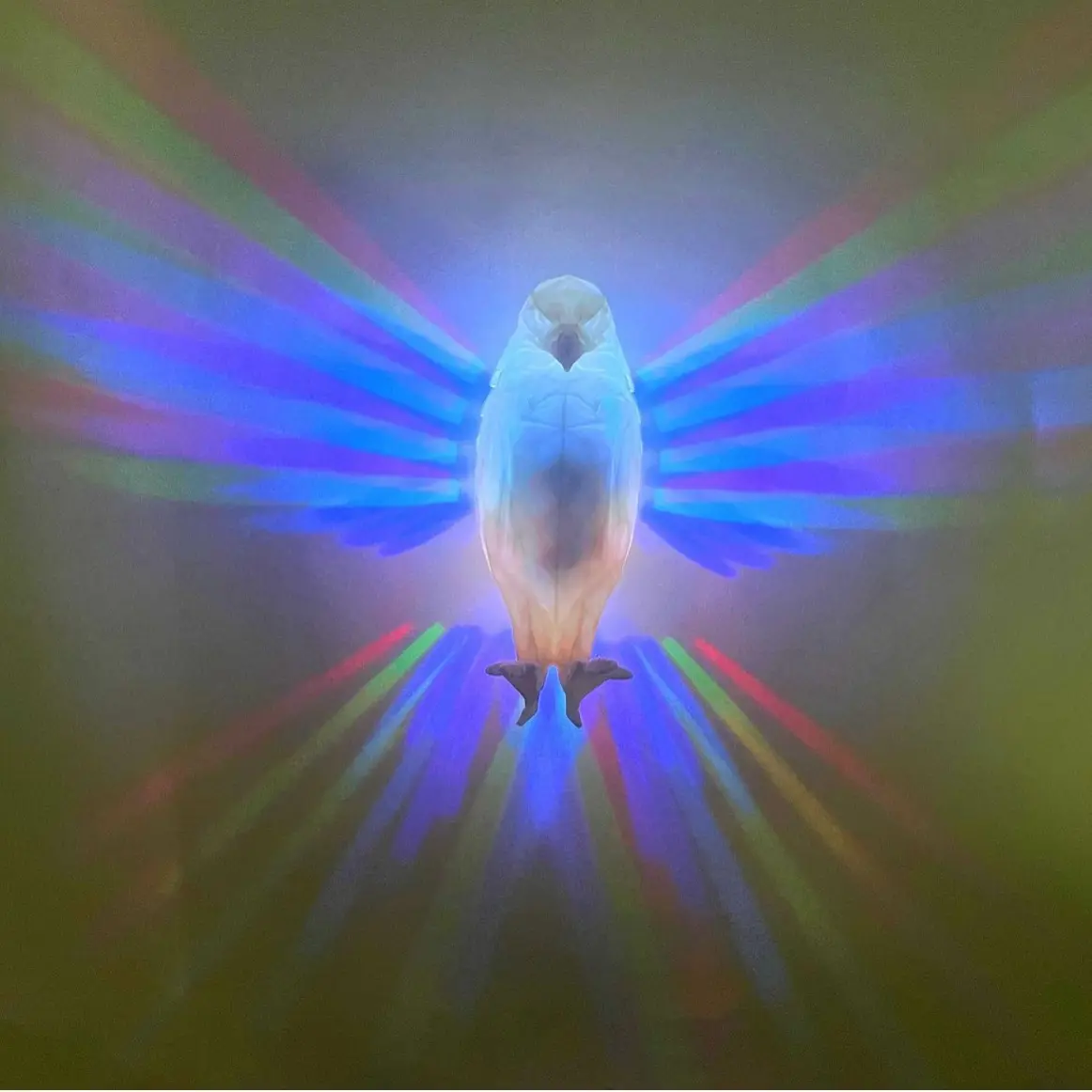 Divinely Eagle Lamp - Luminous Animal Statue Wall Lamp