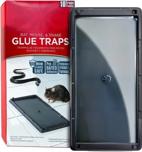 Rat and Mouse Traps 10Pk, Large Bulk Glue Rat Traps for Home, Adhesive Plastic Tray for Inside House, Mice, & Spider Catcher, Pest Control for House & Garage