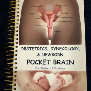 Obstetrics, Gynecology & Newborn Pocket Brain / study guide