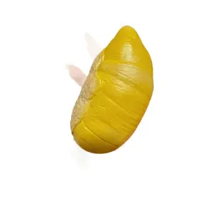 Durian Squishy Toy - Super Soft Wet & Creamy Slow Rebound Fidget Toy, Food Shaped Stress Relief Squeeze Toy for All Ages BJD Doll with Ball Joints and Hand Set