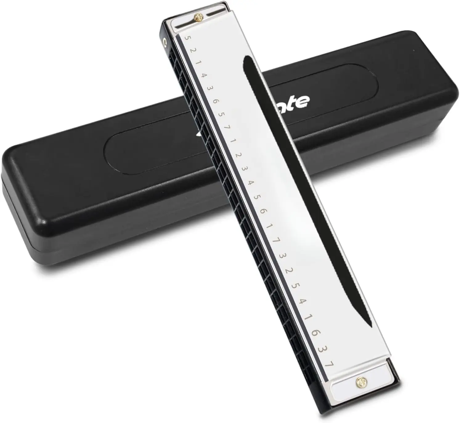 Blues Harmonic Mouth Organ 24 Hole C Key with Case Diatonic Harmonica for Beginner, Students, Professional Player, Adult, Friends,