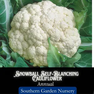 Snowball Self Blanching Cauliflower Seeds, Cool-Season Heirloom Vegetable Seeds Healthy Ingredients Fiber