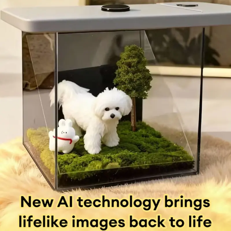 Holographic digital house memorial figurine, projects animal images, can project your favorite videos. Perfect gift!