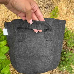 Ready-to-Go Ecosystem with Esienia fiteda composting worms