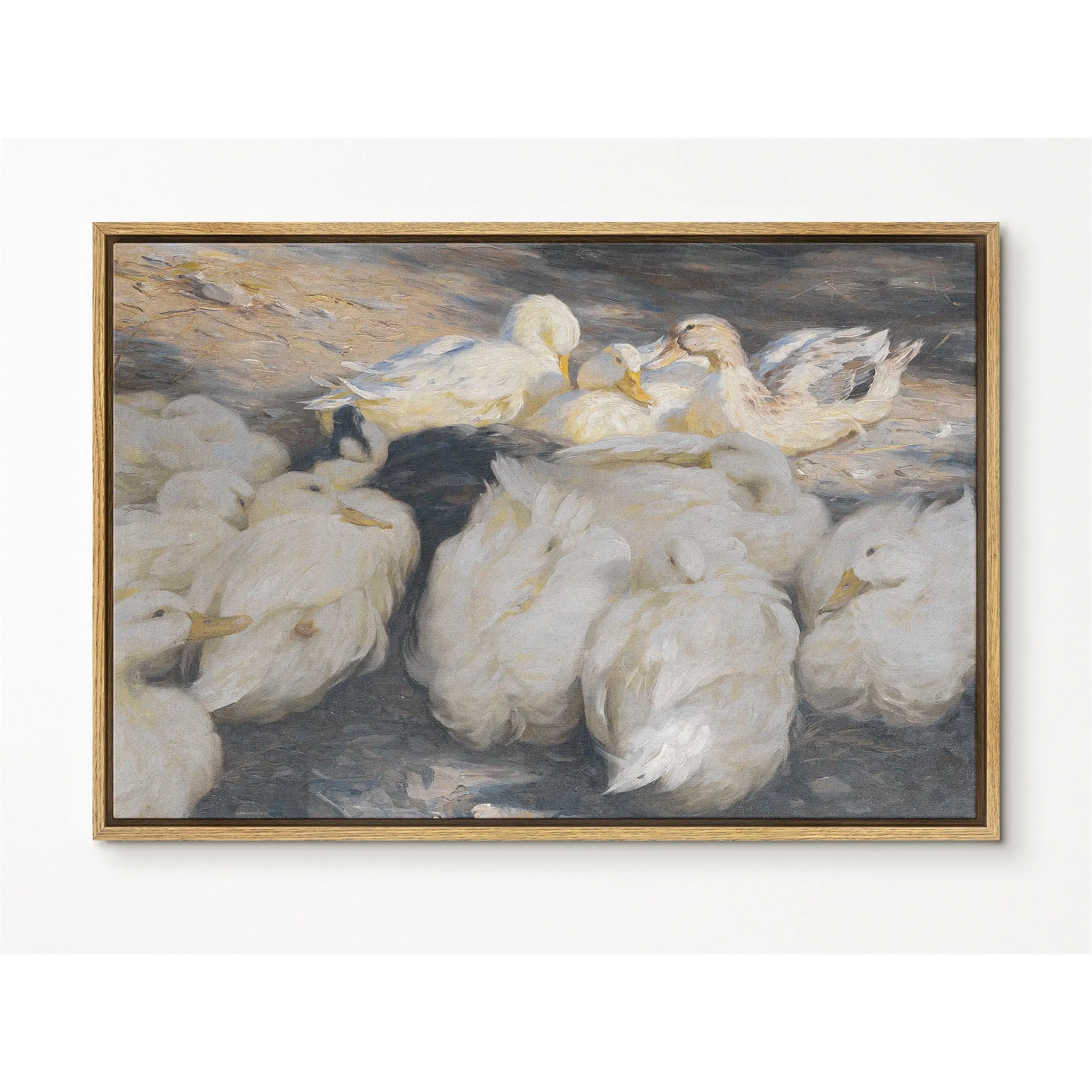 Ducks in the evening sun | Large Framed Canvas Print with hanging kit