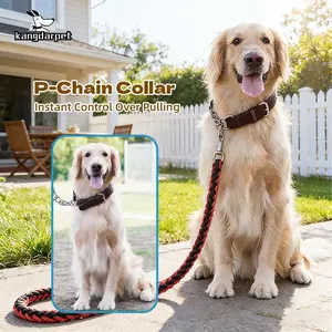 Adjustable Martingale Collar for Dogs, Anti-Slip Safety Design, Universal Fit for Small Medium Large Dogs, Pet Training Accessory