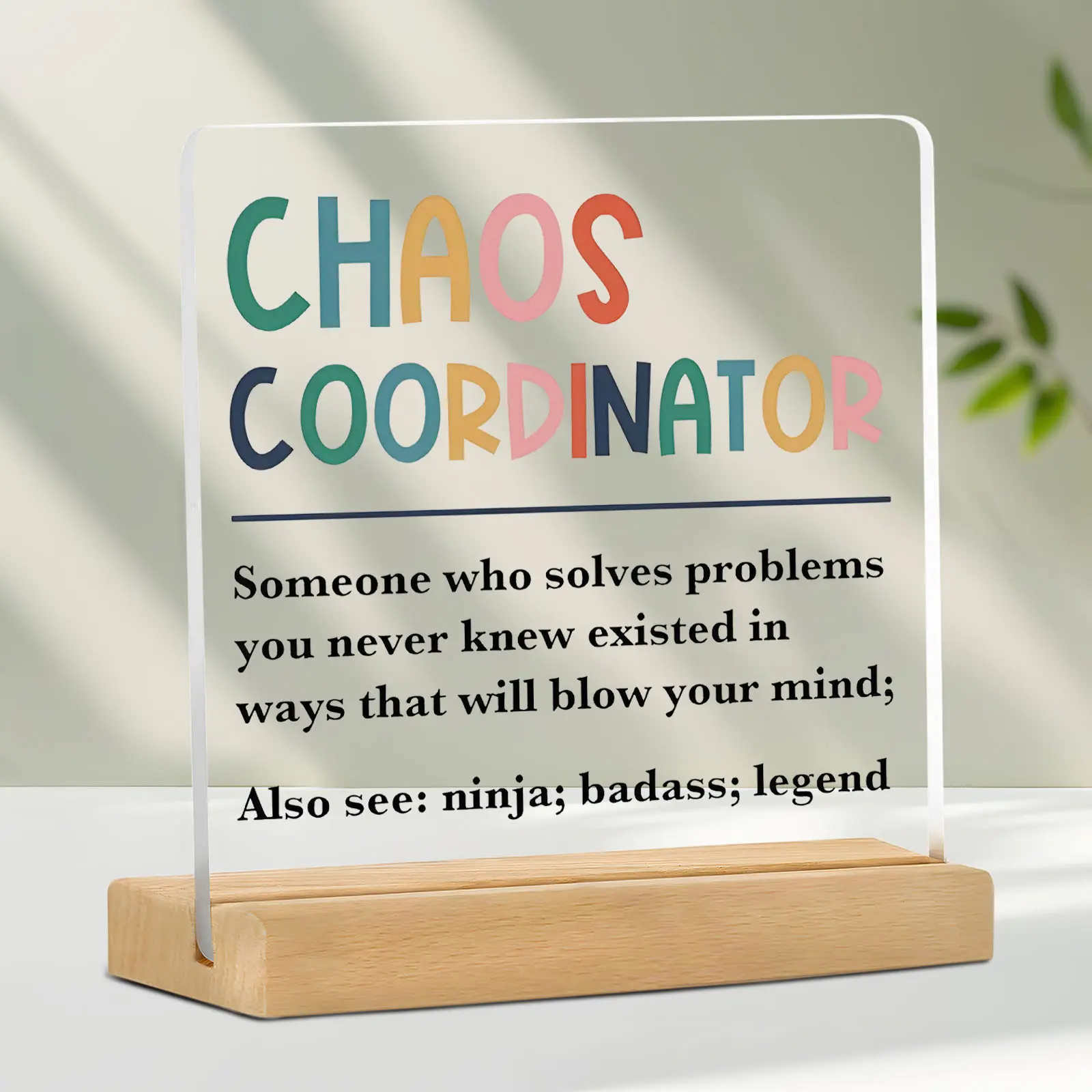 Funny Chaos Coordinator Plaque Gift for Office Employees, Cute Clear Acrylic Office Home Decor Desk Decor for Teachers Nurses Accountants, Humorous Thank You Decoration Signs
