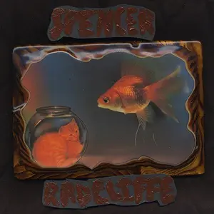 Spencer Radcliffe - Looking in  [COMPACT DISC - CD]