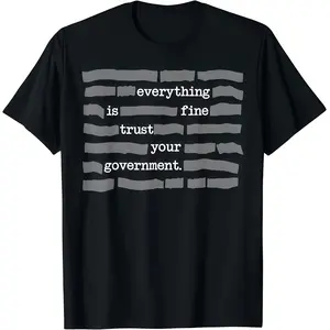Everything Is Fine — Trust Your Government T-Shirt/Sweatshirt, Printed in the USA