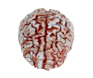 Dr.Evil Inc. Custom Hand Made In Platinum Based Silicone Squishy Bloody Brain