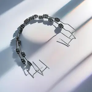 1 piece educational orthodontic braces demonstration model with archwires and metal brackets - suitable for teaching dental students and orthodontists Oral