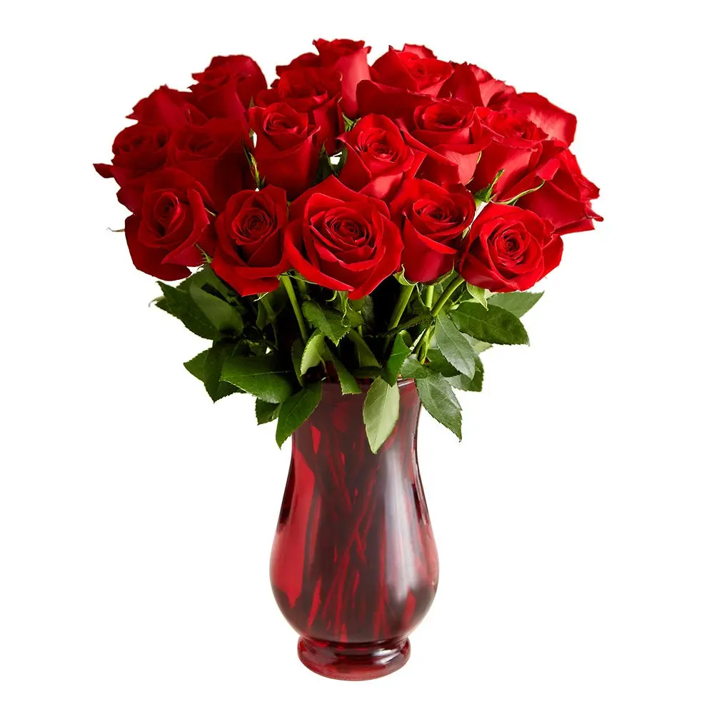 1800 Flowers - 24 Stem Red Roses Bouquet with Red Vase, Fresh Flowers 1800 Flowers - 24 Stem Red Roses Bouquet with Red Vase, Fresh Flowers