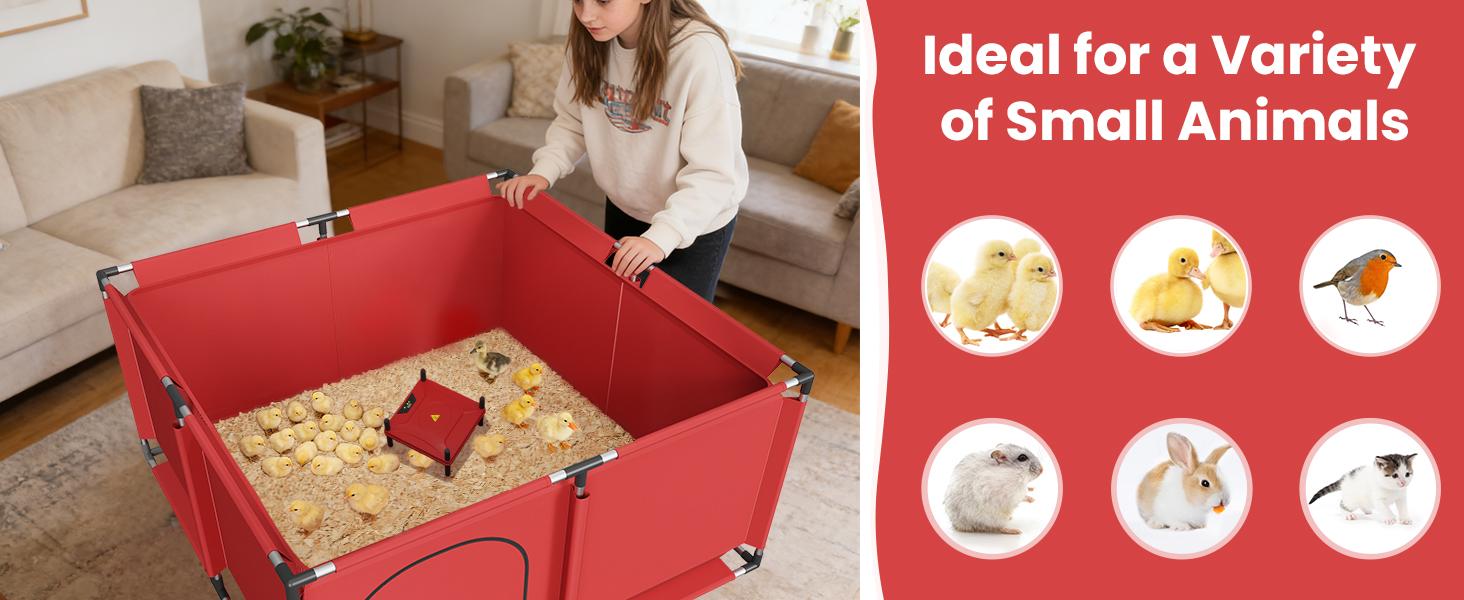 Square Brooder Box for Chicks, All-in-One Chick Starter Kit with 250W Heat Lamp, Perch, Feeder & Waterer Set, Stainless Steel Frame, Fits Up to 30 Chicks (Lamp)