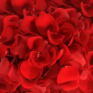 Farm Fresh Natural Rose Petals Red - Premium Ecuadorian Imports 10 Bags 500 Petals Each Perfect for Events & Gifts