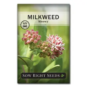 Showy Milkweed Seeds Showy Milkweed Seeds