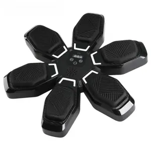 Music Boxing Target Adult Boxing Wall Target Snowflake-Shaped Boxing Target Smart Electronic Music Wall Target