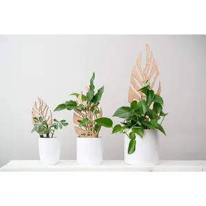 Monstrella - Plant trellis inspired by the Monstera Leaf