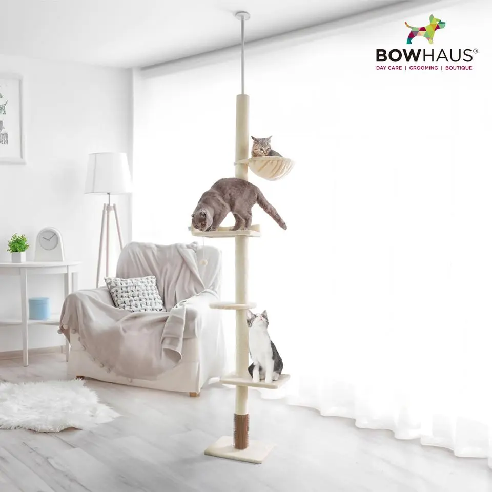 CAPHAUS Floor to Ceiling Cat Tree, Adjustable Height 104”-115” Multi-Tier Cat Climbing Tower w/ Itching Scratcher, Cozy Hammock, Interactive Playball, Platforms for Indoor Cats, Beige/Dark Grey