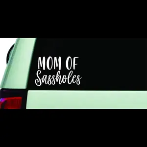 MOM OF SASSHOLES FUNNY COMDEY CAR TRUCK WINDOW VINYL DECAL. Easily apply. 7” WIDE. High quality vinyl.
