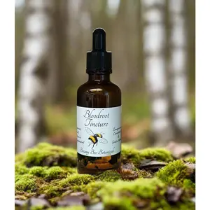Bloodroot Tincture - Sanguinaria Canadensis Herbal Extract - 1 oz. or 2 oz. Dropper Bottle