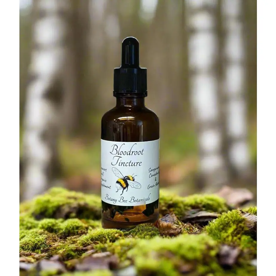 Bloodroot Tincture - Sanguinaria Canadensis Herbal Extract - 1 oz. or 2 oz. Dropper Bottle