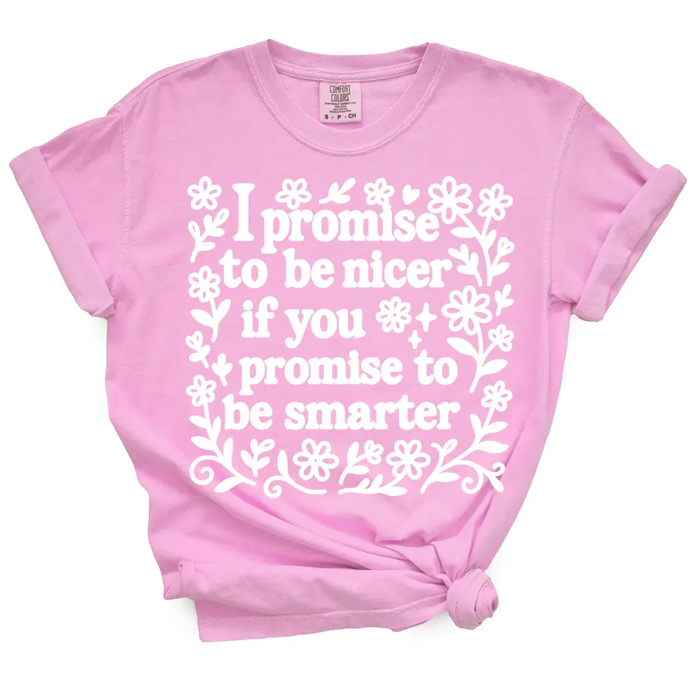 Comfort Colors I Promise To Be Nicer Casual Funny Tshirt - 100% Cotton, Machine Washable, Loose Fit, Crew Neck, Short Sleeve, Unisex