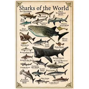 Sharks Of The World Metal Tin Signs Shark Types Knowledge Posters Shark Science Infographic Plaques Home Farmhouse Classrooms Children's Education Wall Decor Vintage Wall Decoration 5.5*8 inch