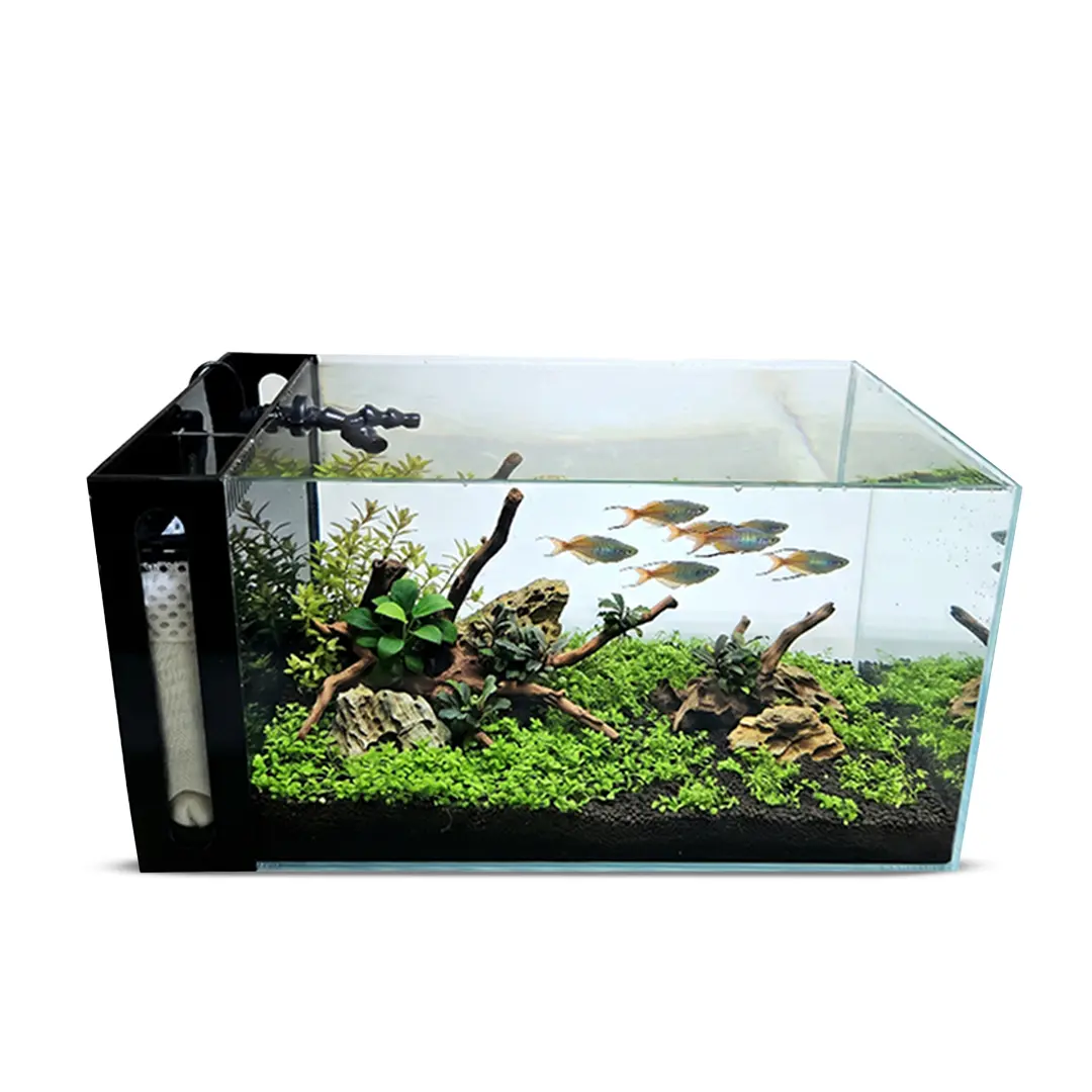 Ultra Low Iron Beveled Edge Glass Fish Tank - Betta Water Tank with Built-In Side Filter, Insulation-Leveling Pad, Directional Jet for Aquatic Pet Supplies