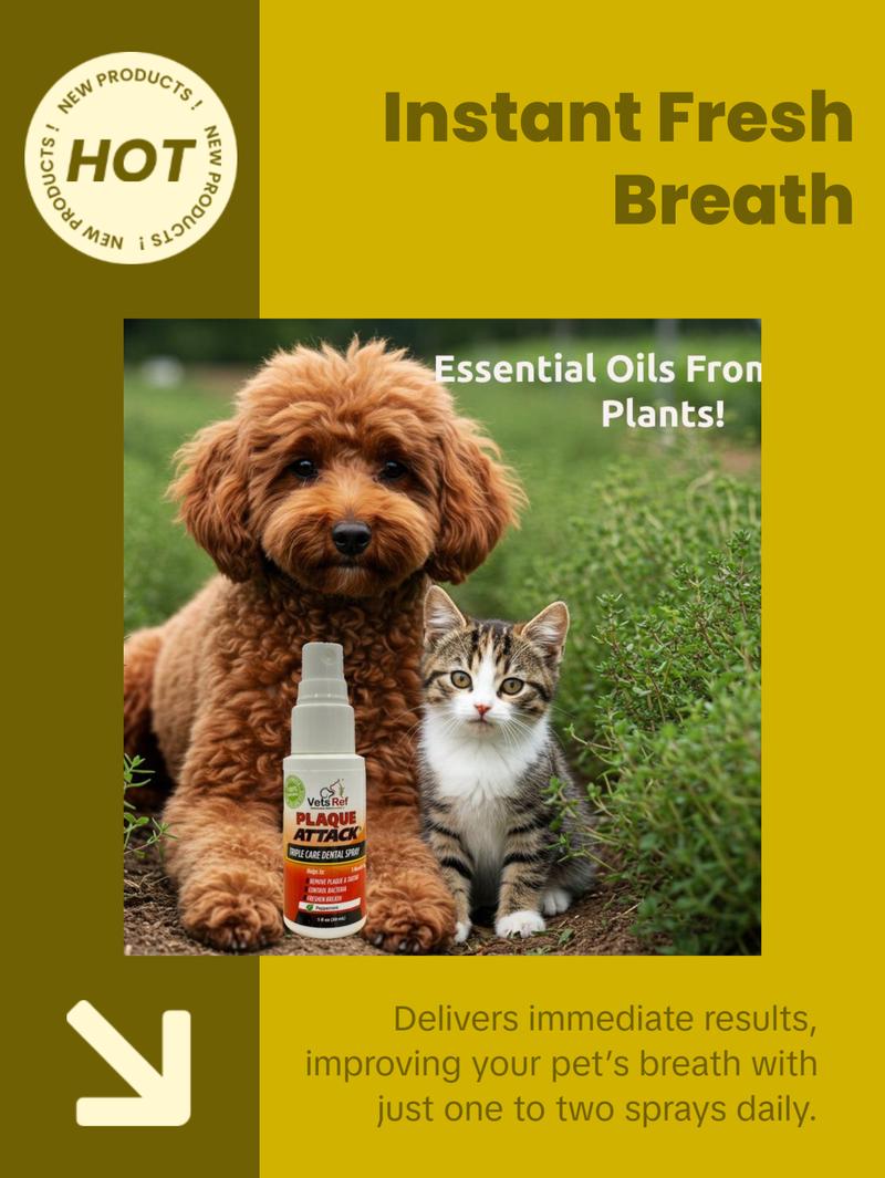 Vets Ref Plaque Attack Pet Dental Spray - 1oz - Multi-Purpose Dental Treatment for Flouride, Calcium & Gingivitis Prevention