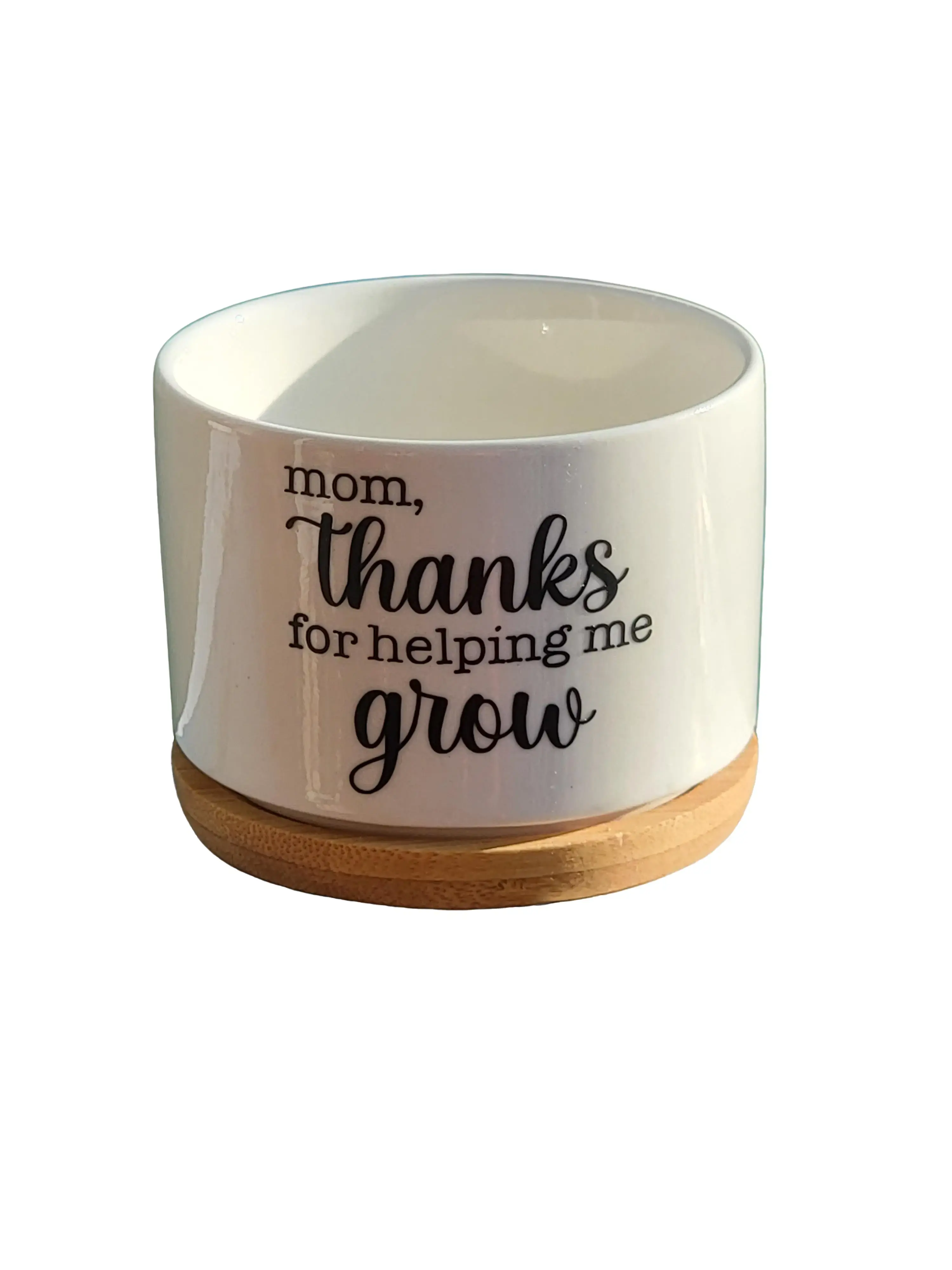 Thanks For Helping Me Grow Succulent Pots, Custom Teacher Appreciation Gift, Personalized Planter, Mother's Day Thank You Gift, ONE POT