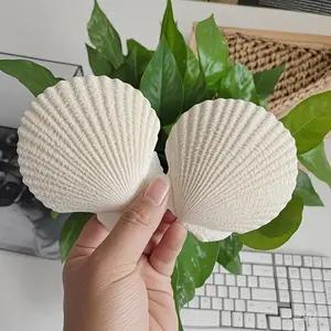 Natural White Scallop Shells for DIY Crafts 2.7"-3.5" Beach Wedding Decorations Painting Decorative Seashells Bulk for Beach Party Centerpieces Gift Mermaid