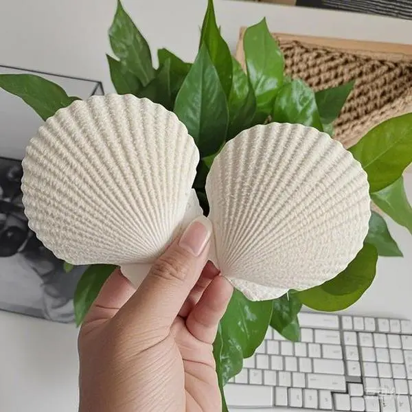 Bulk Handpicked Odourless Natural White Scallop Shells - 16pcs 2.7-3.5 in Home Decor Supplies for Baking, DIY Crafts, Beach Wedding Centerpieces