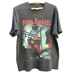 Limp Bizkit Vintage Fan Shirt - New Limp Bizkit T-Shirt Unisex Shirt, Hip Hop Tee, Gift For Her