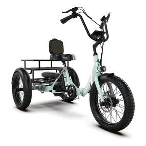 EMOJO Compact Foldable Electric Trike, Long Range 3 Wheels Electric Bicycle with 500W Motor, 48V 14Ah Battery, Built-in Differential