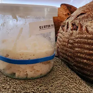 1790s Sourdough Starter