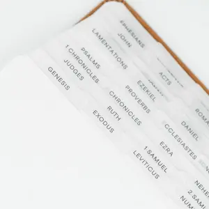 Portable Bible tabs | Cute Vellum paper Bible Tabs for Men & Women | Journaling Tabs for Bible | Boho Bible Tabs | Bible Book Tabs | Book navigator - Minimalist Bible tabs | Sticky Bible Tabs