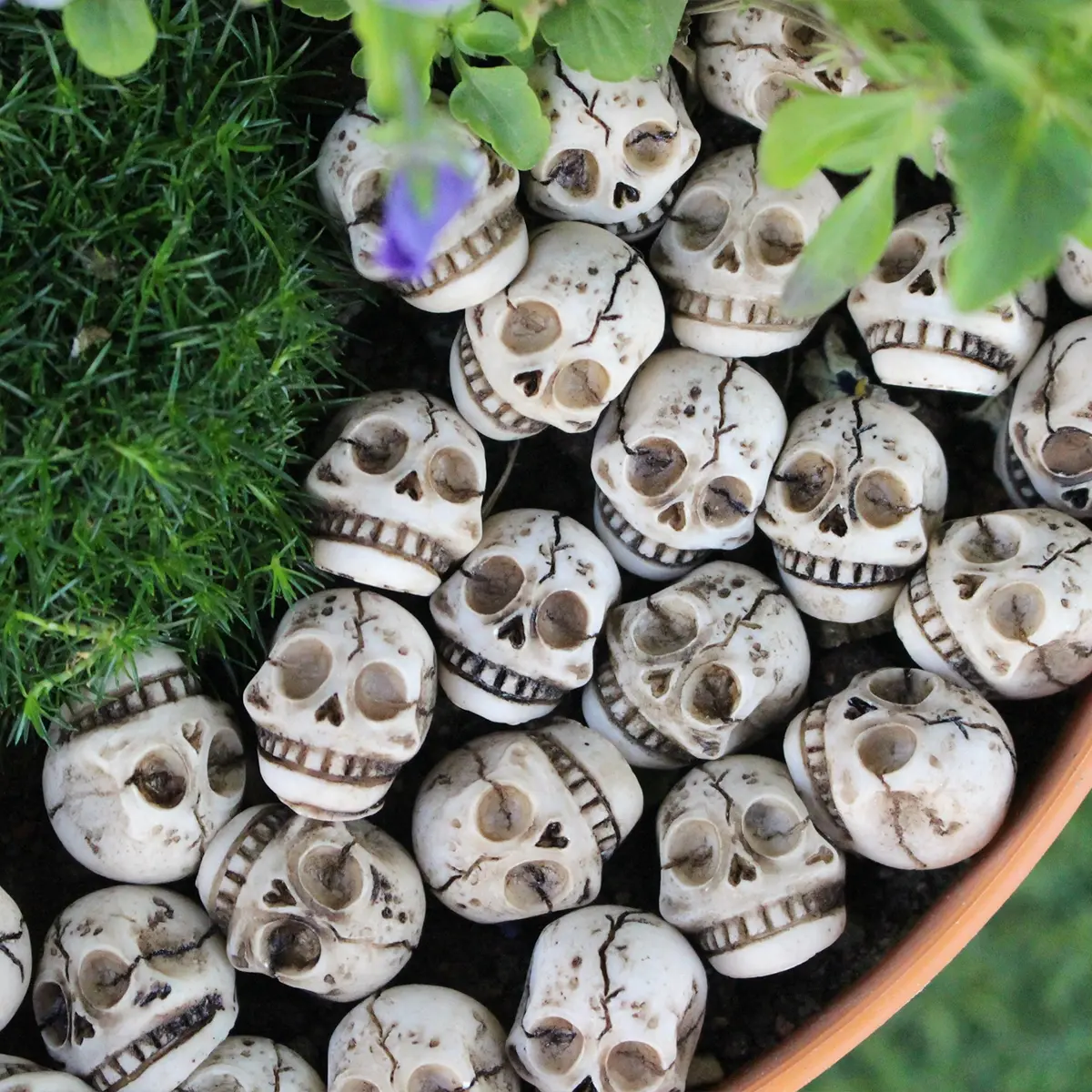 20pcs Mystery Skull Resin Statues, Unique Visual Enjoyment, Pond Tank Aquarium Decorations, Fish Tank Decor, Aquarium Supplies, Halloween Atmosphere, Realistic Skull Crafts