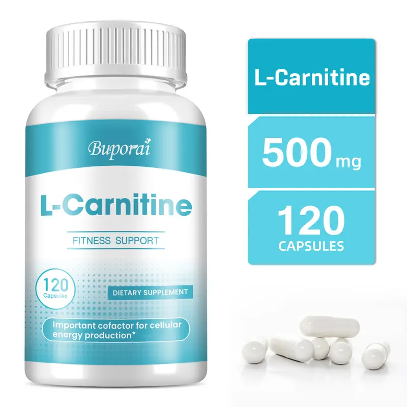 l carnitine everyday