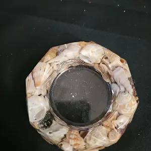 sea shells and shark teeth in resin ashtray Decor